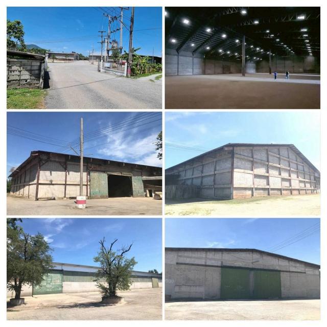 ���ͧ �� 1000property