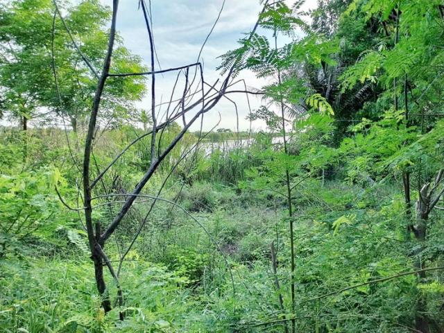 ที่ดิน 7 ไร่ ที่ดิน 7 ไร่