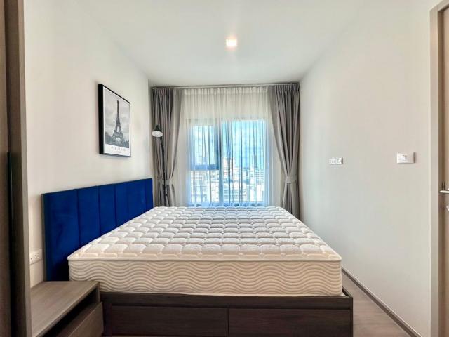 �͹����¢�ҧ �� ��