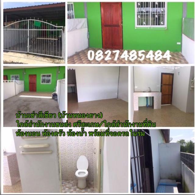 ��ҹ �������