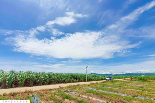 ���Թ 21 ���