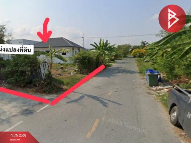 ��û�� �� The Best Property Agent