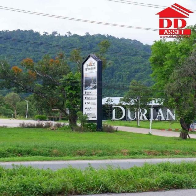 DD Asset (Thailand) Co., Ltd.