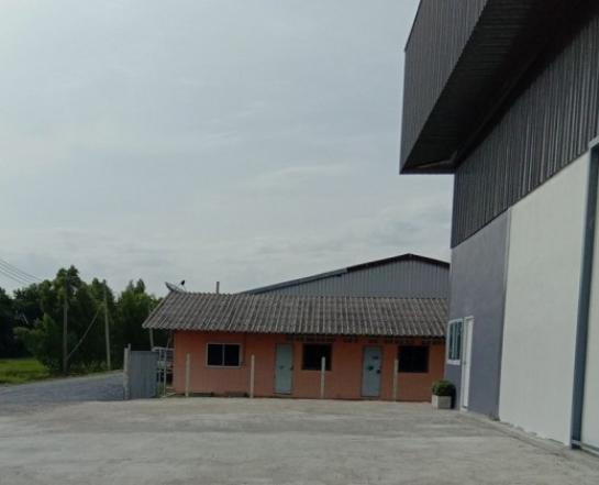 ��ѧ�Թ��� �ҧ��Ƿͧ �������