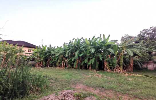 ��·��Թ �ҧ�