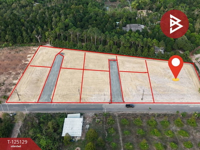 ���Թ˹�ҡ��ҧ �ѹ�����