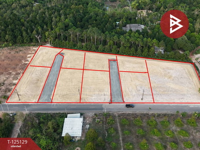 ���Թ�ѹ����� �ѹ�����