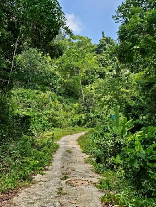 ��·��Թ �з�� ����