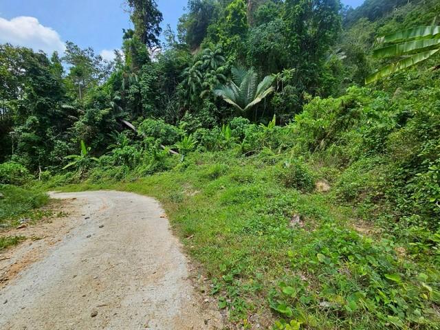 ��·��Թ �з�� ����