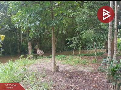 �ѹ����� �� The Best Property Agent