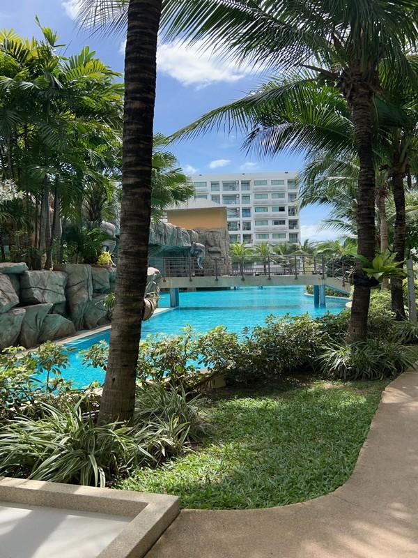 �͹ⴺҧ���ا ���������