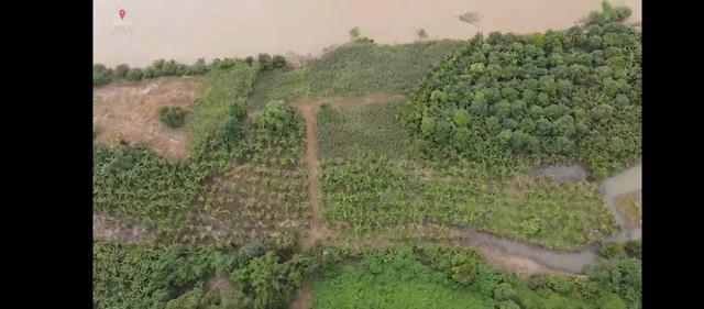 ��·��Թ ��§�ҹ ���