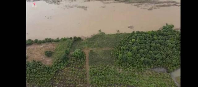 ���Թ ��� �觢��