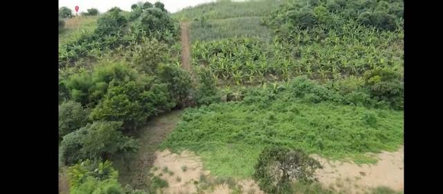 ��·��Թ ��§�ҹ ���