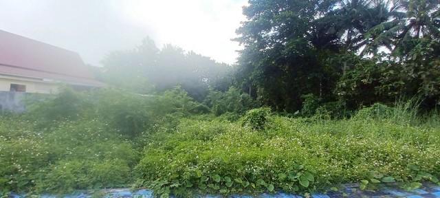 ���Թ ���