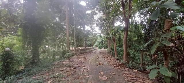 ���Թ ��� �ش���͹