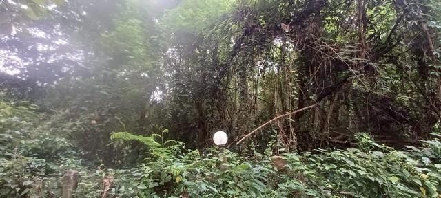 ���Թ ��� ������¹����ǹ���