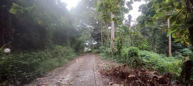 ��·��Թ ��§�ҹ ���