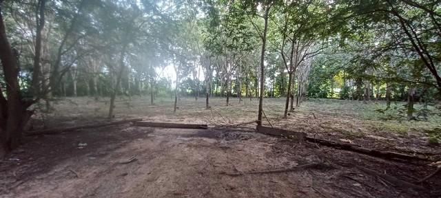 ���Թ ��� �觢��