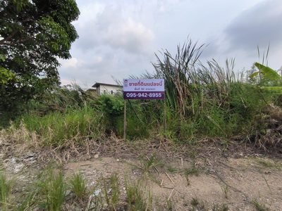 ��·��Թmrt���