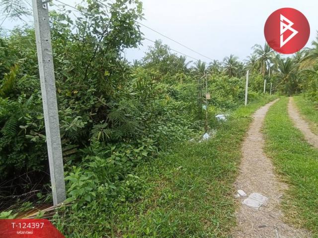 ���ͧ �� The Best Property Agent