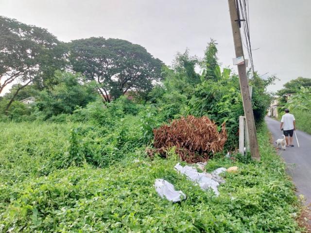 ��·��ԹBTS���