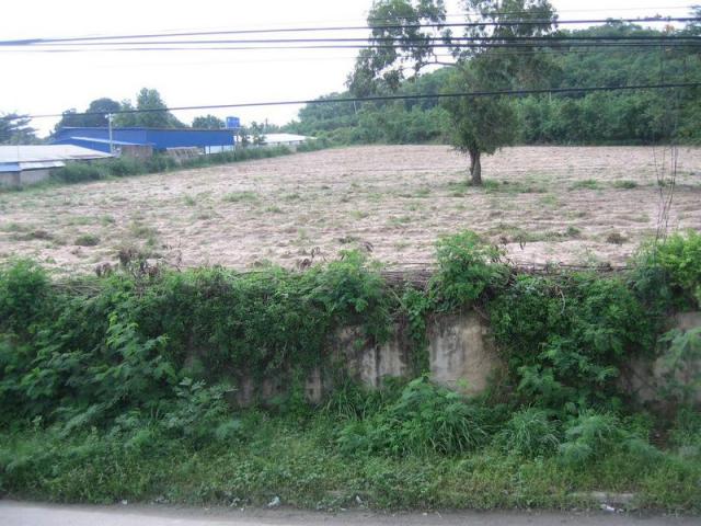 �ѵ�պ �� A House property