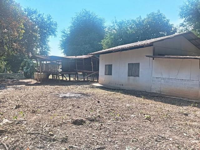 ��º�ҹ �ѹ�� ��¹ҷ