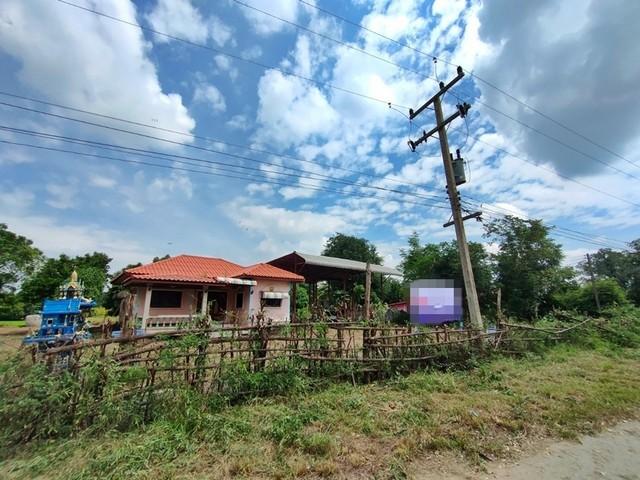 ��º�ҹ ⾷��žԨԵ�