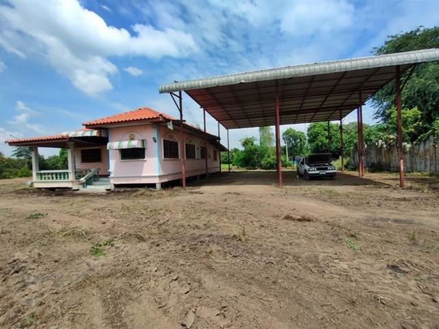 ��º�ҹ ⾷��žԨԵ�