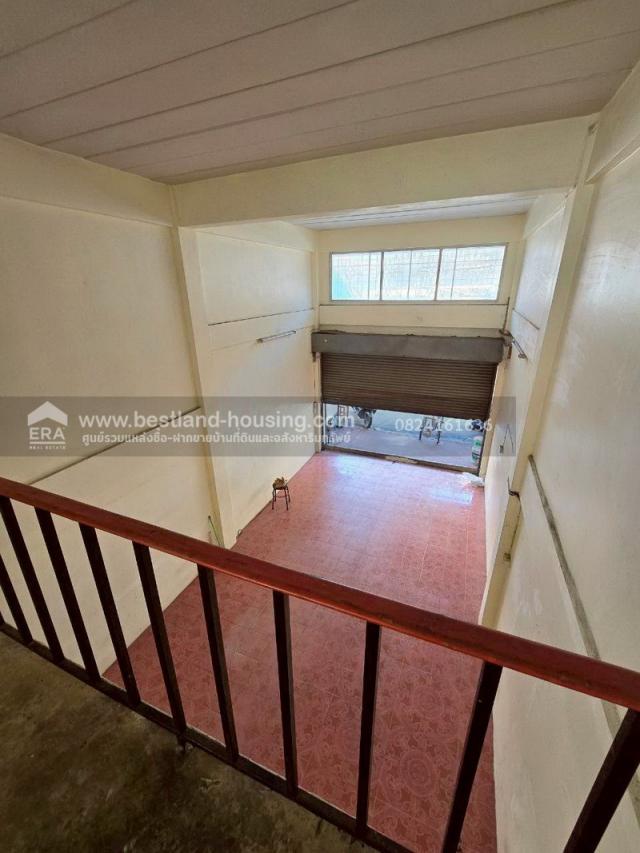 ����Ҥ�þҳԪ�� �ҧࢹ��ا෾