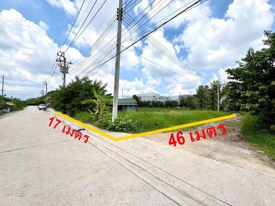 ��·��Թ �ѹ�����