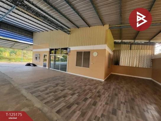 ที่ดิน 5 ไร่ ที่ดิน 5 ไร่