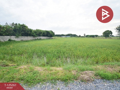 ��û�� �� The Best Property Agent