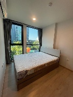 �����Ҥ͹������� �Ҥһ�С�������� 17,000 �ҷ/��͹