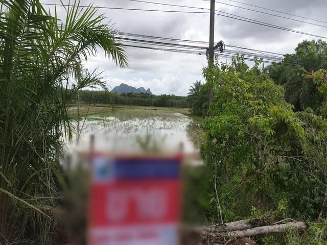 ���Թ �ѷ�ا