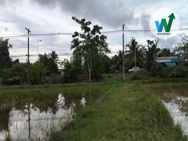 ��·��Թ �ǹ��ع�ѷ�ا