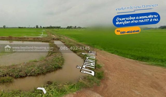 ���Թ��������� ��ɳ��š