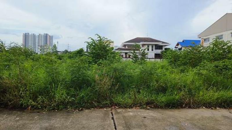 ��·��Թ �ҧ�