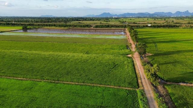 ���Թ ��к���