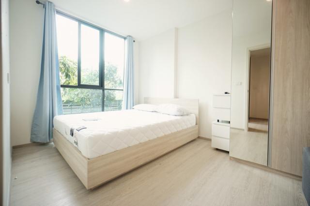 �͹ⴻ����� ���������