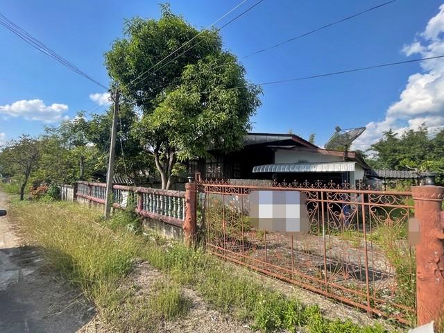 ��ҹ �����