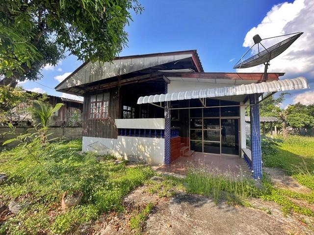 ��º�ҹ �͡��������