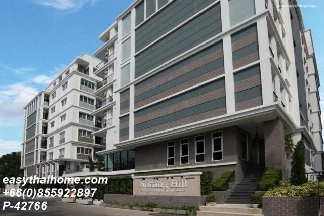 �͹�������ͧ �ҧ��