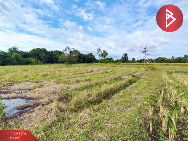 ���ͧ �� The Best Property Agent