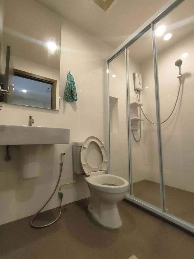 ��¤͹� ���ͧ�͹�� �͹��