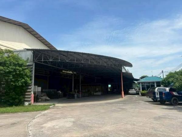 ⡴ѧ ���ԧ���