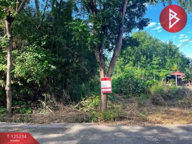 ���Թ 13 ���