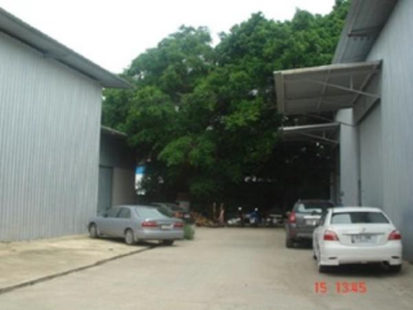 ⡴ѧ������ ������