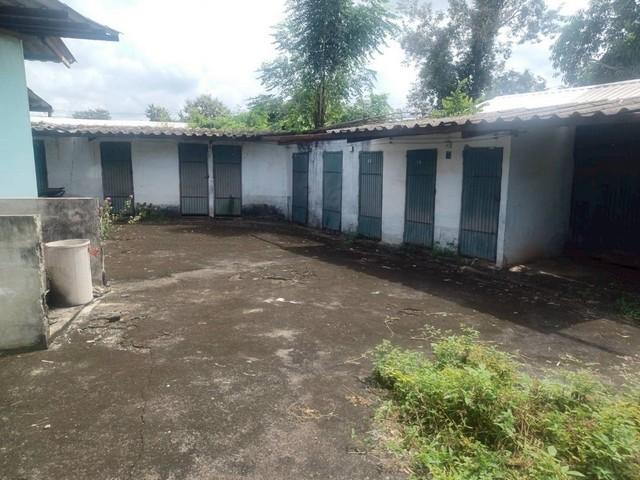 ��º�ҹ ���ͧ��ɳ��š��ɳ��š